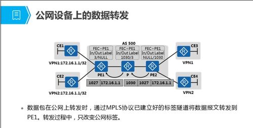 MPLS VPN技術(shù)原理與配置詳解